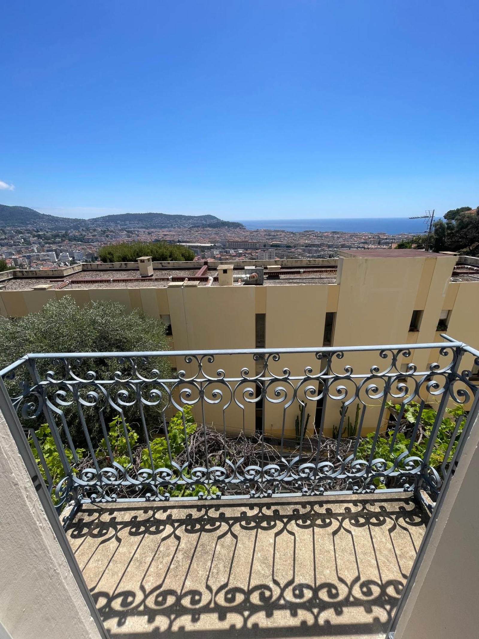 Image_, Appartement, Nice, ref :295