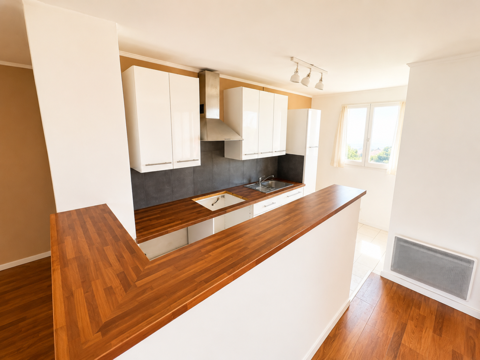 Image_, Appartement, Nice, ref :295000