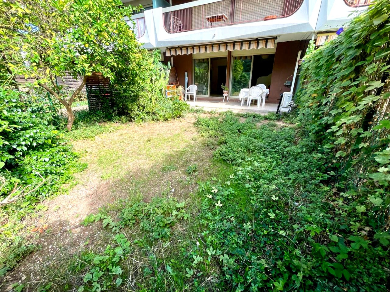 Image_, Appartement, Nice, ref :Grand Large